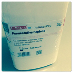 Пептон ферментативний